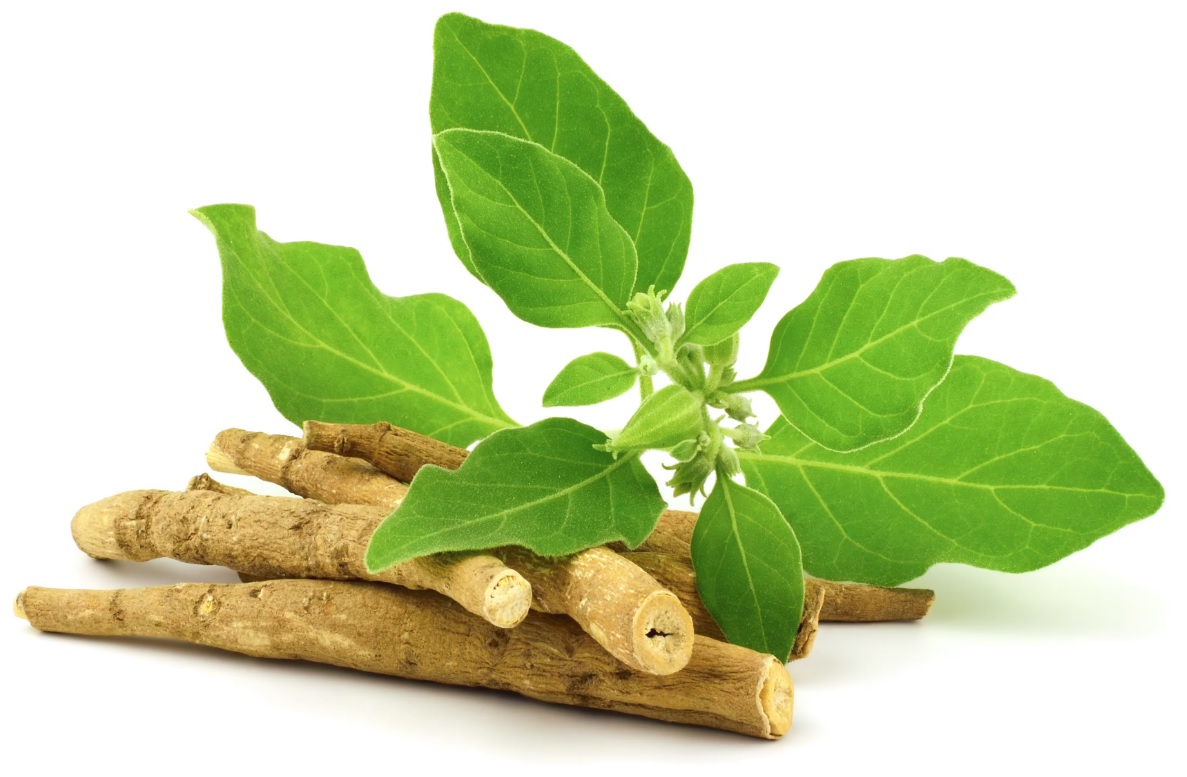 Ashwagandha benefits