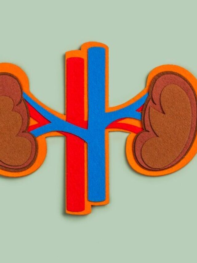 Your Kidneys: The Silent Heroes, Explained!